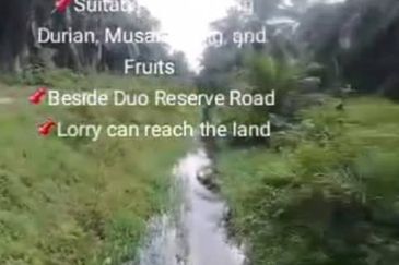 Banting Land for Sale, Sungai Kelambu 2, Banting,  📌2.07 Acres Flat Land for Sale 📌Suitable for planting Durian, Musang King, and Fruits  📌Beside D