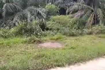 Banting Land for Sale,  Sungai Kelambu 2, Banting, Felcra,  📌2.078 Acres Flat Land for Sale 📌Beside Reserve Road  📌Lorry can reach the land
