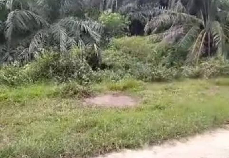 Banting Land for Sale,  Sungai Kelambu 2, Banting, Felcra,  📌2.078 Acres Flat Land for Sale 📌Beside Reserve Road  📌Lorry can reach the land