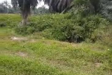 Banting Land for Sale,  Sungai Kelambu 2, Banting, Felcra,  📌2.078 Acres Flat Land for Sale 📌Beside Reserve Road  📌Lorry can reach the land