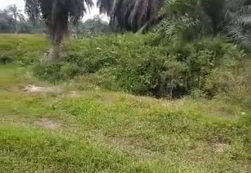Banting Land for Sale,  Sungai Kelambu 2, Banting, Felcra,  📌2.078 Acres Flat Land for Sale 📌Beside Reserve Road  📌Lorry can reach the land
