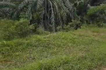 Banting Land for Sale,  Sungai Kelambu 2, Banting, Felcra,  📌2.078 Acres Flat Land for Sale 📌Beside Reserve Road  📌Lorry can reach the land