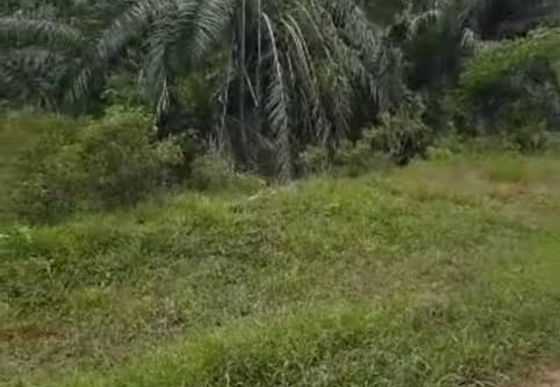 Banting Land for Sale,  Sungai Kelambu 2, Banting, Felcra,  📌2.078 Acres Flat Land for Sale 📌Beside Reserve Road  📌Lorry can reach the land