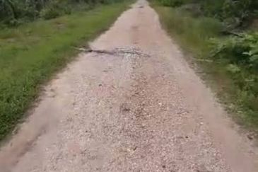 Banting Land for Sale,  Sungai Kelambu 2, Banting, Felcra,  📌2.078 Acres Flat Land for Sale 📌Beside Reserve Road  📌Lorry can reach the land