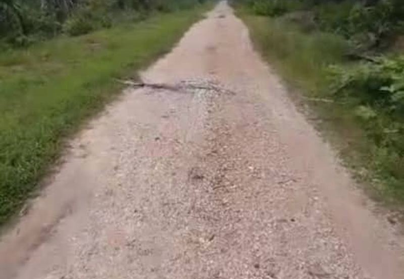 Banting Land for Sale,  Sungai Kelambu 2, Banting, Felcra,  📌2.078 Acres Flat Land for Sale 📌Beside Reserve Road  📌Lorry can reach the land