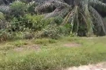 Banting Land for Sale,  Sungai Kelambu 2, Banting, Felcra,  📌2.078 Acres Flat Land for Sale 📌Beside Reserve Road  📌Lorry can reach the land