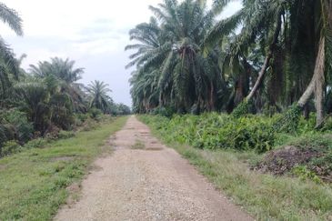 Banting Land for Sale,  Sungai Kelambu 2, Felcra,  📌2.078 Acres Flat Land for Sale 📌Beside Reserve Road  📌Lorry can reach the land 