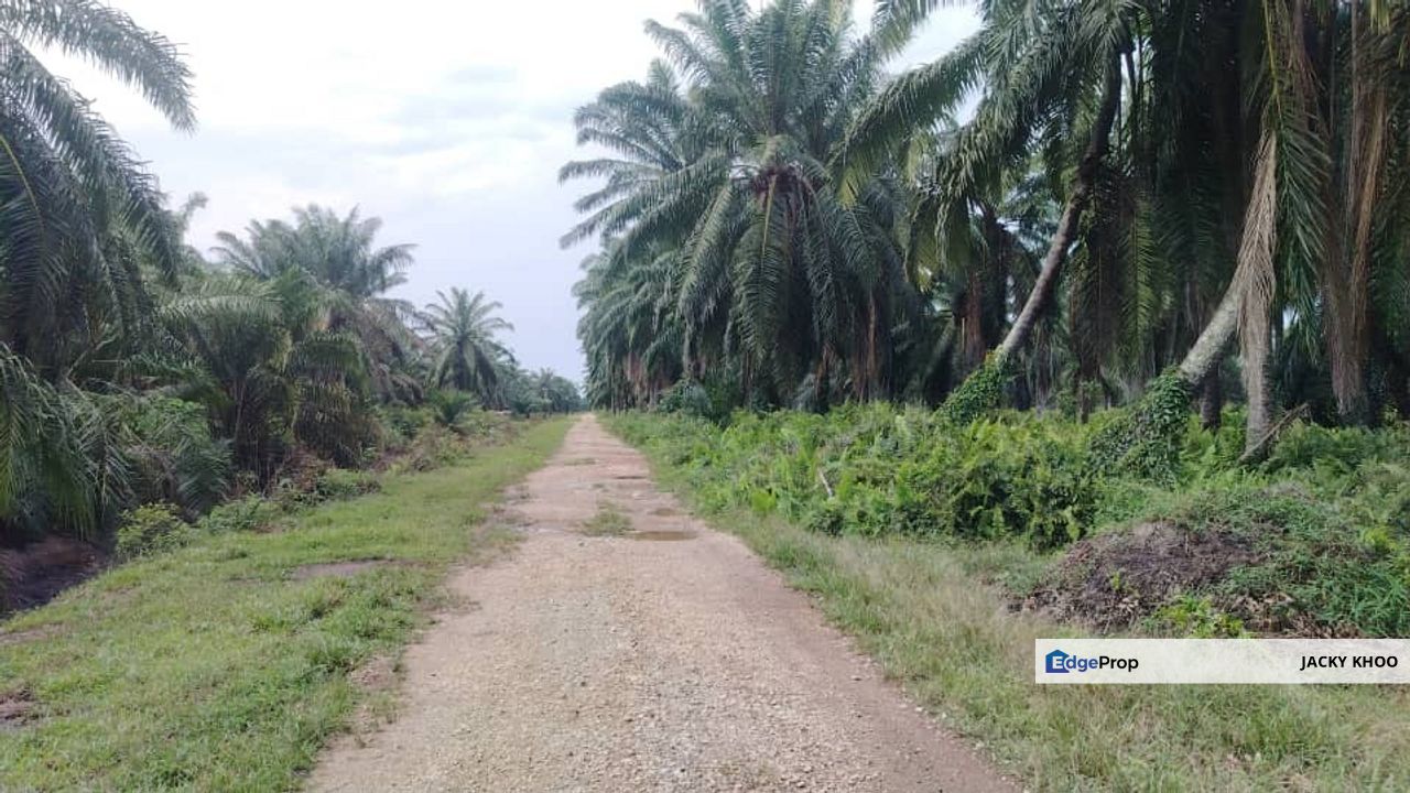 Banting Land for Sale,  Sungai Kelambu 2, Felcra,  📌2.078 Acres Flat Land for Sale 📌Beside Reserve Road  📌Lorry can reach the land , Selangor, Banting