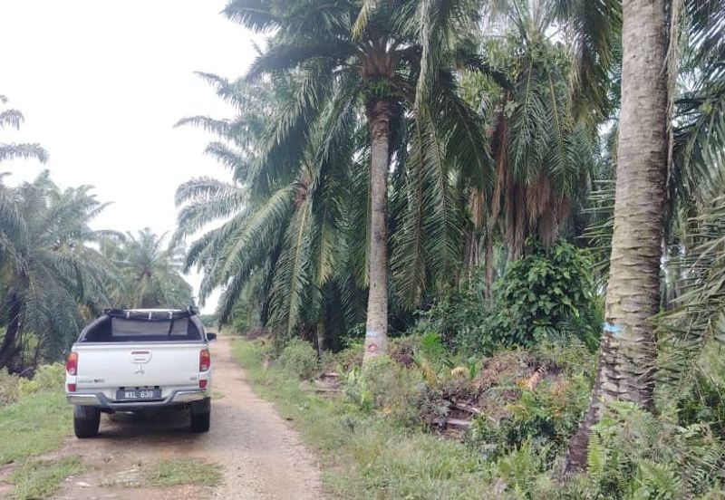 Banting Land for Sale,  Sungai Kelambu 2, Felcra,  📌2.078 Acres Flat Land for Sale 📌Beside Reserve Road  📌Lorry can reach the land 