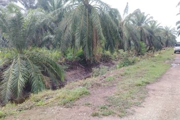 Banting Land for Sale,  Sungai Kelambu 2, Felcra,  📌2.078 Acres Flat Land for Sale 📌Beside Reserve Road  📌Lorry can reach the land 