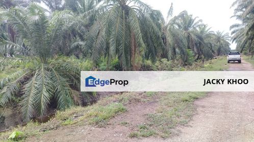 Banting Land for Sale,  Sungai Kelambu 2, Felcra,  📌2.078 Acres Flat Land for Sale 📌Beside Reserve Road  📌Lorry can reach the land , Selangor, Banting