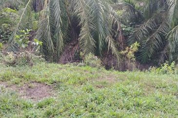 Banting Land for Sale,  Sungai Kelambu 2, Felcra,  📌2.078 Acres Flat Land for Sale 📌Beside Reserve Road  📌Lorry can reach the land 