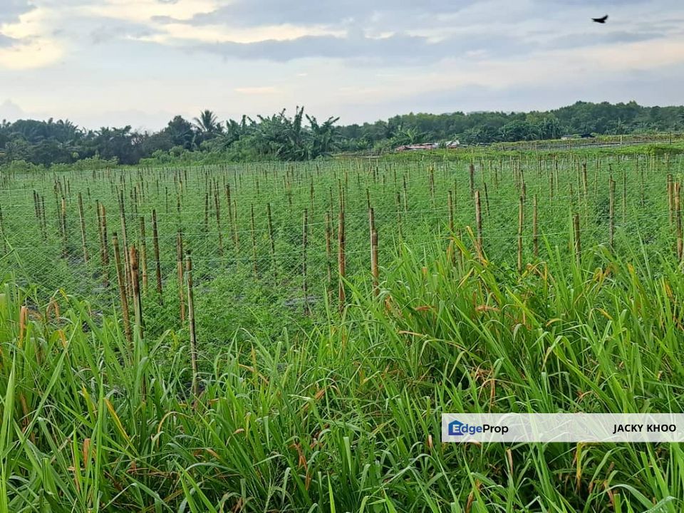 Klang Agricultural Land for Sale,  Johan Setia, Klang,  🎈1 Acre Flat Land for Sale, Selangor, Klang
