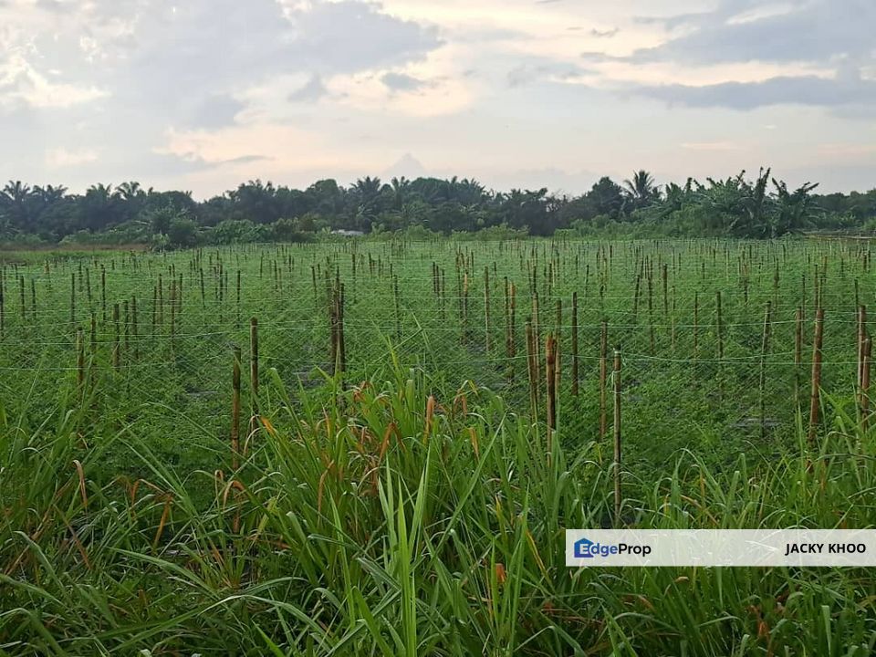 Klang Agricultural Land for Sale,  Johan Setia, Klang,  🎈1 Acre Flat Land for Sale, Selangor, Klang