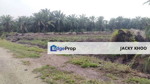 Banting Agriculture Land for Sale, Selangor, Banting