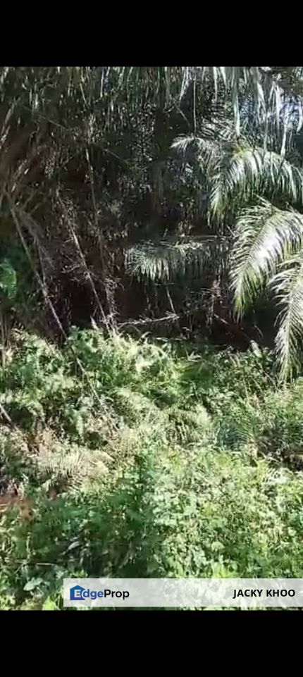 Jalan Kebun Baru Batu 9 , Sijangkang Land for Sale, Selangor, Telok Panglima Garang