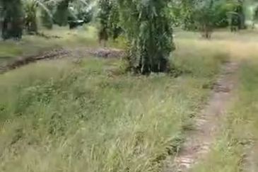 Sepang Land for Sale, Sungai Peleh, 📌5.0 Acres Flat Land for Sale