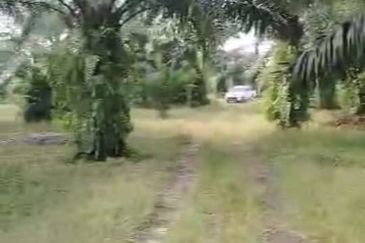 Sepang Land for Sale, Sungai Peleh, 📌5.0 Acres Flat Land for Sale