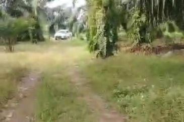 Sepang Land for Sale, Sungai Peleh, 📌5.0 Acres Flat Land for Sale