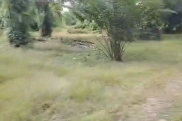 Sepang Land for Sale, Sungai Peleh, 📌5.0 Acres Flat Land for Sale