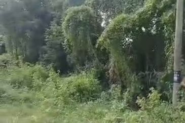 Sepang Land for Sale, Sungai Peleh, 📌5.0 Acres Flat Land for Sale