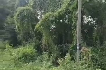 Sepang Land for Sale, Sungai Peleh, 📌5.0 Acres Flat Land for Sale