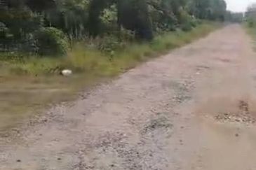 Sepang Land for Sale, Sungai Peleh, 📌5.0 Acres Flat Land for Sale