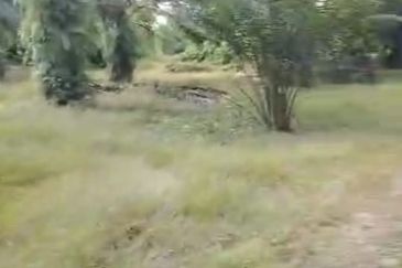 Sepang Land for Sale, Sungai Peleh, 📌5.0 Acres Flat Land for Sale