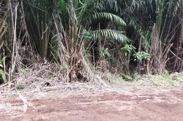 Sijangkang Flat Land for Sale ,  Felcra,  Telok Panglima Garang,  2.04 Acres Flat Land for sale ,Near Jalan Kebun Baru Batu 9,  