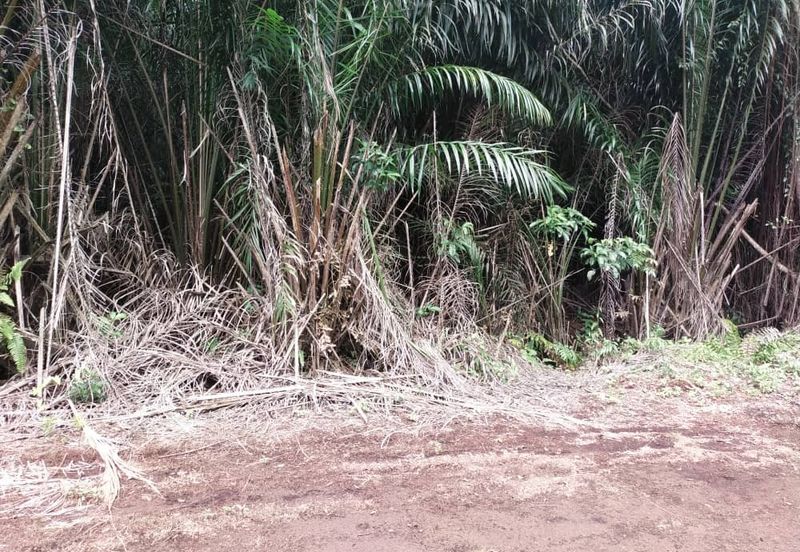 Sijangkang Flat Land for Sale ,  Felcra,  Telok Panglima Garang,  2.04 Acres Flat Land for sale ,Near Jalan Kebun Baru Batu 9,  