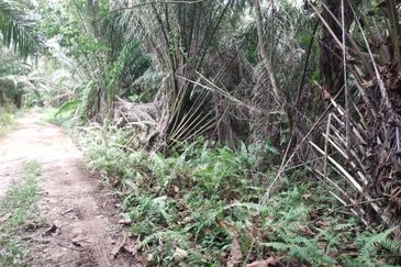 Sijangkang Flat Land for Sale ,  Felcra,  Telok Panglima Garang,  2.04 Acres Flat Land for sale ,Near Jalan Kebun Baru Batu 9,  