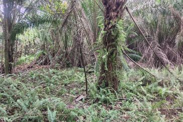 Sijangkang Flat Land for Sale ,  Felcra,  Telok Panglima Garang,  2.04 Acres Flat Land for sale ,Near Jalan Kebun Baru Batu 9,  