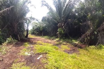Sijangkang Flat Land for Sale ,  Felcra,  Telok Panglima Garang,  2.04 Acres Flat Land for sale ,Near Jalan Kebun Baru Batu 9,  