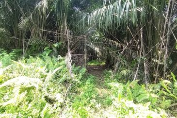 Sijangkang Flat Land for Sale ,  Felcra,  Telok Panglima Garang,  2.04 Acres Flat Land for sale ,Near Jalan Kebun Baru Batu 9,  