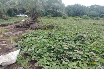 Below Market Price,  Sijangkang Land for Sale . (Felrca)   Telok Panglima Garang.  📌2.16 Acres flat Land for sale 📌Behind PETRONAS Batu 9,