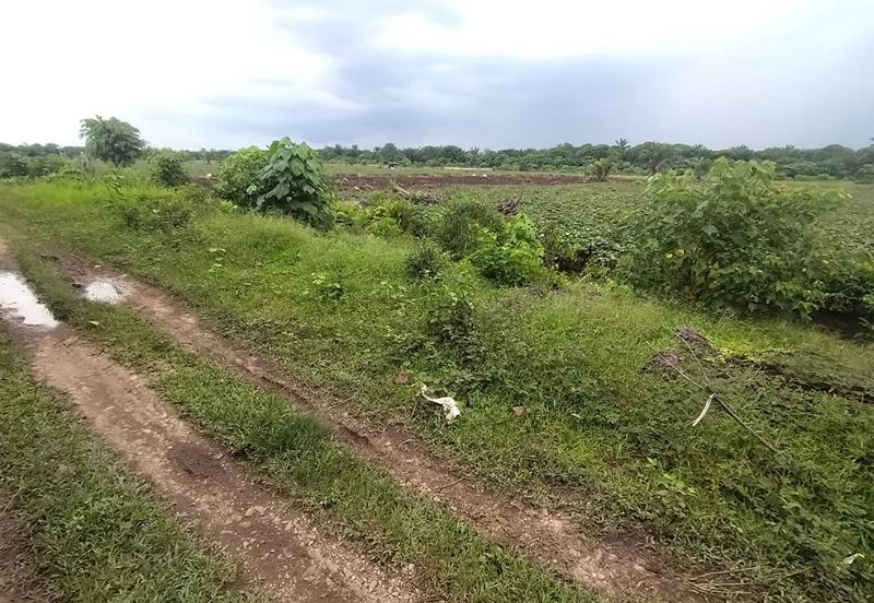 Below Market Price,  Sijangkang Land for Sale . (Felrca)   Telok Panglima Garang.  📌2.16 Acres flat Land for sale 📌Behind PETRONAS Batu 9,