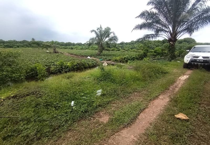 Below Market Price,  Sijangkang Land for Sale . (Felrca)   Telok Panglima Garang.  📌2.16 Acres flat Land for sale 📌Behind PETRONAS Batu 9,