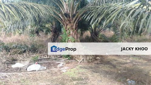 BANTING Kanchong Flat Land for Sale, Batu Laut, Banting , Morib, Kelanang, (FELCRA) 📌 * 2.968 acres Flat Land For Sale  📌Beside  Reserve Road , Selangor, Banting