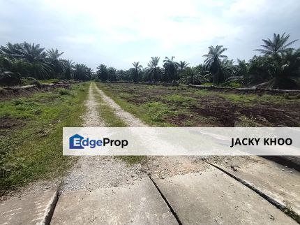 Kampung Sungai Kelambu Land for Sale ,  Banting, Felcra, 📌2.0 Acres Flat Land for Sale 📌Suitable for planting vegetable and Fruits , Selangor, Banting