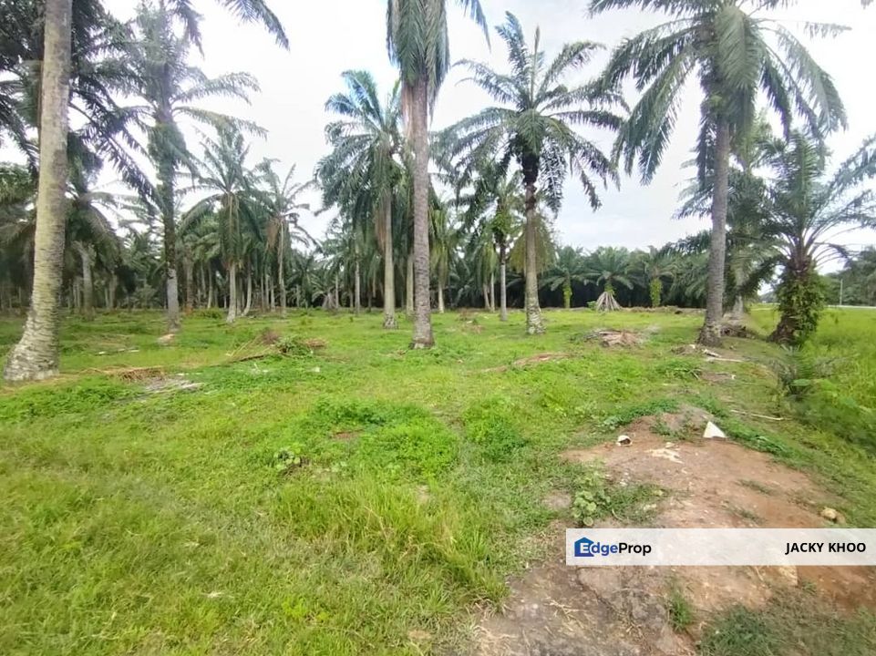  Batu Laut 土地出售， Tanjung Sepat，瓜拉冷岳, 📌 * 5.3 英亩平地出售 📌柏油路旁, Selangor, Banting