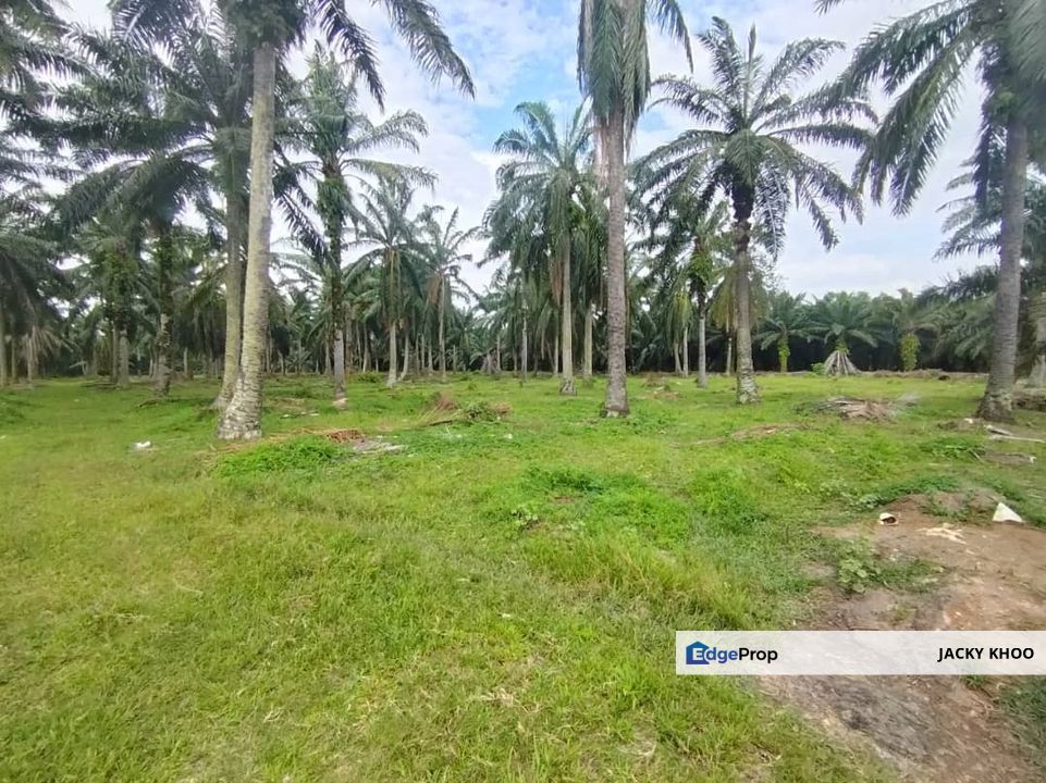  Batu Laut 土地出售， Tanjung Sepat，瓜拉冷岳, 📌 * 5.3 英亩平地出售 📌柏油路旁, Selangor, Banting