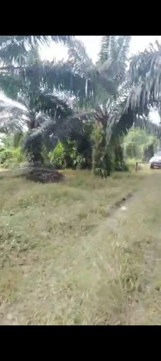 雪邦土地出售， Sungai Pelek， Sepang,  📌5.0 英亩平地出售 📌石路旁 📌保留路旁 📌永久业权, Selangor, Sepang