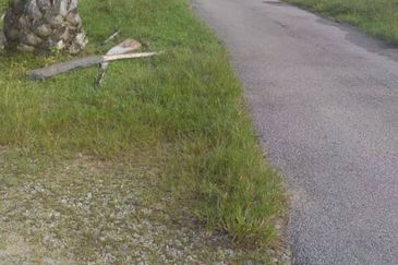 Agriculture Land @ Taiping