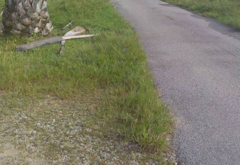 Agriculture Land @ Taiping