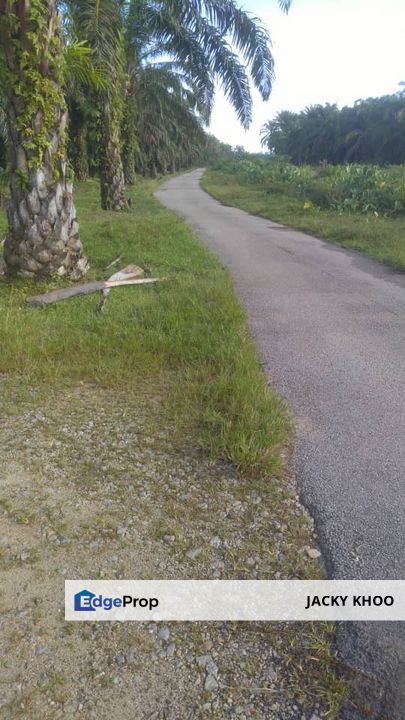 霹雳州土地出售， Kemunting， 太平， 📌64 英亩土地出售 📌棕榈油树平地 📌柏油路旁 📌永久业权, Perak, Taiping
