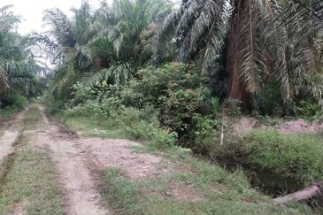 Banting 土地出售， Sungai Kelambu 2，Felcra， 📌2.007 英亩平地出售 📌石路旁 📌卡车可到达土地 📌 Felrca 广 350M 📌柏油路 170M