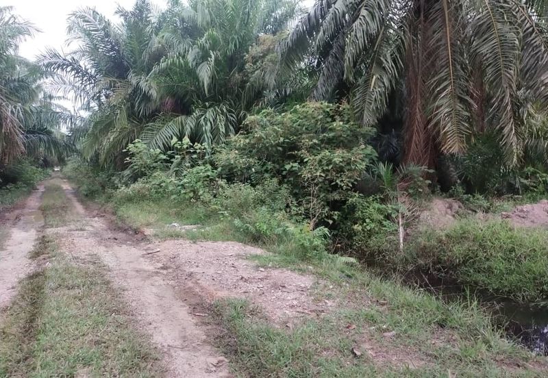 Banting 土地出售， Sungai Kelambu 2，Felcra， 📌2.007 英亩平地出售 📌石路旁 📌卡车可到达土地 📌 Felrca 广 350M 📌柏油路 170M