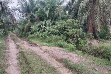 Banting 土地出售， Sungai Kelambu 2，Felcra， 📌2.007 英亩平地出售 📌石路旁 📌卡车可到达土地 📌 Felrca 广 350M 📌柏油路 170M