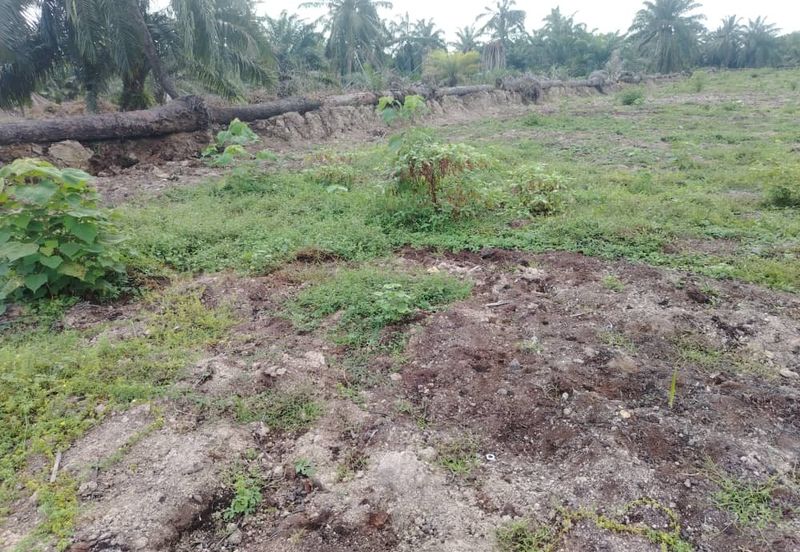 Banting 土地出售， Sungai Kelambu 2， 📌2.099 英亩平地出售