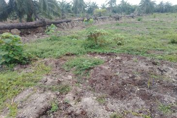 Banting 土地出售， Sungai Kelambu 2， 📌2.099 英亩平地出售